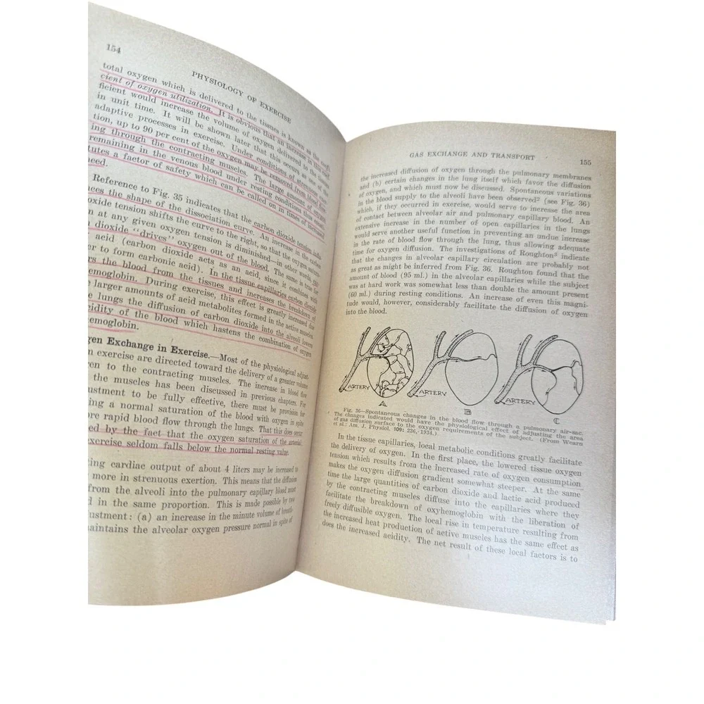 Physiology of Exercise Morehouse‎ & Miller Second Edition Vintage 1953 Book